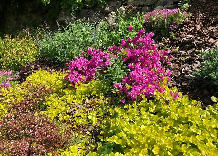 Basztowa 5 Holiday home